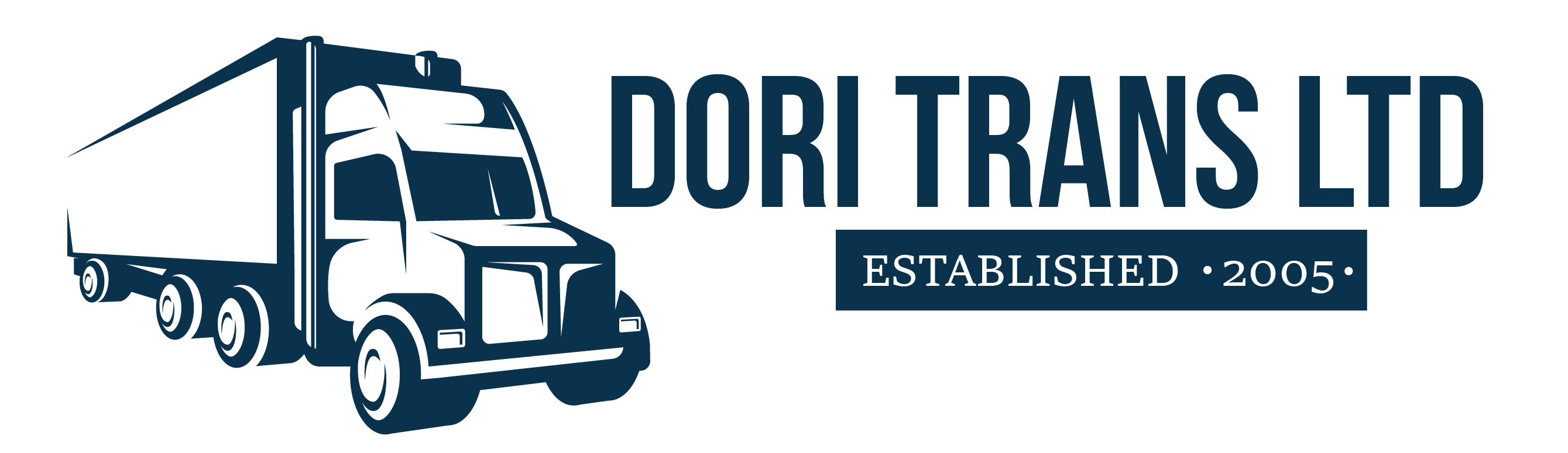 Logo DoriTrans Ltd